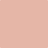 1199-Peach: Mousse  a paint color by Benjamin Moore avaiable at Clement's Paint in Austin, TX.