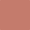 1201-Spiced: Apple Cider  a paint color by Benjamin Moore avaiable at Clement's Paint in Austin, TX.