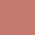 1201-Spiced: Apple Cider  a paint color by Benjamin Moore avaiable at Clement's Paint in Austin, TX.