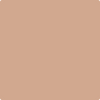 1207-San: Carlos Tan  a paint color by Benjamin Moore avaiable at Clement's Paint in Austin, TX.