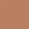 1217-Suntan: Bronze  a paint color by Benjamin Moore avaiable at Clement's Paint in Austin, TX.