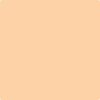 122-Orange: Sherbert  a paint color by Benjamin Moore avaiable at Clement's Paint in Austin, TX.