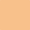 123-Citrus: Blossom  a paint color by Benjamin Moore avaiable at Clement's Paint in Austin, TX.