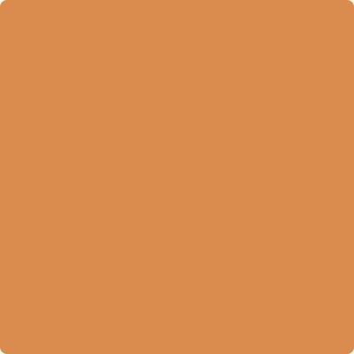 126-Pumpkin: Spice  a paint color by Benjamin Moore avaiable at Clement's Paint in Austin, TX.