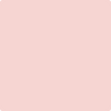 1282-Tippy: Toes  a paint color by Benjamin Moore avaiable at Clement's Paint in Austin, TX.