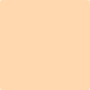 129-Tangerine: Mist  a paint color by Benjamin Moore avaiable at Clement's Paint in Austin, TX.
