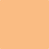 131-Seville: Oranges  a paint color by Benjamin Moore avaiable at Clement's Paint in Austin, TX.