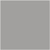 1461-Sterling: Silver  a paint color by Benjamin Moore avaiable at Clement's Paint in Austin, TX.