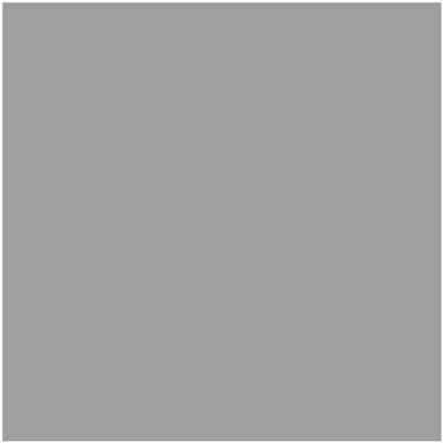 1461-Sterling: Silver  a paint color by Benjamin Moore avaiable at Clement's Paint in Austin, TX.