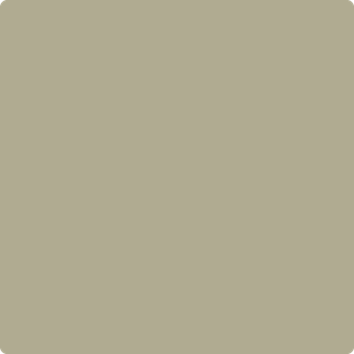 1510-Dried: Basil  a paint color by Benjamin Moore avaiable at Clement's Paint in Austin, TX.