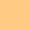 152-Florida: Orange  a paint color by Benjamin Moore avaiable at Clement's Paint in Austin, TX.