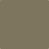 1533-Bayleaf:  a paint color by Benjamin Moore avaiable at Clement's Paint in Austin, TX.