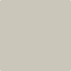 1535-Seattle: Mist  a paint color by Benjamin Moore avaiable at Clement's Paint in Austin, TX.