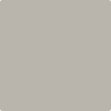 1551-La: Paloma Gray  a paint color by Benjamin Moore avaiable at Clement's Paint in Austin, TX.