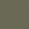 1561-Castle: Peak Gray  a paint color by Benjamin Moore avaiable at Clement's Paint in Austin, TX.
