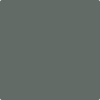 1568-Quarry: Rock  a paint color by Benjamin Moore avaiable at Clement's Paint in Austin, TX.
