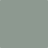 1574-Rushing: River  a paint color by Benjamin Moore avaiable at Clement's Paint in Austin, TX.