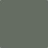 1575-Rainy: Afternoon  a paint color by Benjamin Moore avaiable at Clement's Paint in Austin, TX.