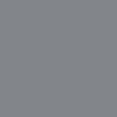 1615-Rock: Gray  a paint color by Benjamin Moore avaiable at Clement's Paint in Austin, TX.