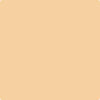 165-Glowing: Apricot  a paint color by Benjamin Moore avaiable at Clement's Paint in Austin, TX.