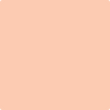 2014-50: Springtime Peach  a paint color by Benjamin Moore avaiable at Clement's Paint in Austin, TX.