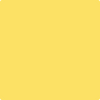 2021-40: Yellow Highlighter  a paint color by Benjamin Moore avaiable at Clement's Paint in Austin, TX.