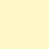 2022-60: Light Yellow  a paint color by Benjamin Moore avaiable at Clement's Paint in Austin, TX.