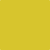 2024-30: Citron  a paint color by Benjamin Moore avaiable at Clement's Paint in Austin, TX.