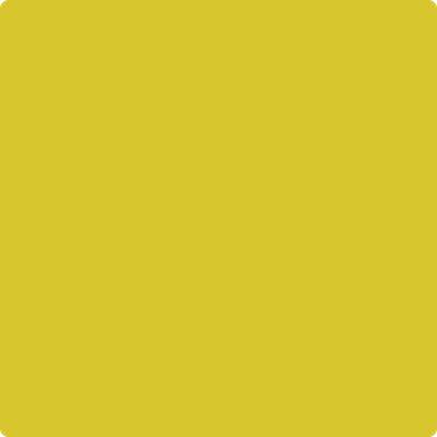 2024-30: Citron  a paint color by Benjamin Moore avaiable at Clement's Paint in Austin, TX.