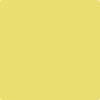 2024-40: Yellow Finch  a paint color by Benjamin Moore avaiable at Clement's Paint in Austin, TX.