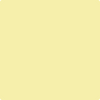 2024-50: Jasper Yellow  a paint color by Benjamin Moore avaiable at Clement's Paint in Austin, TX.