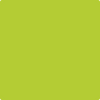 2025-10: Bright Lime  a paint color by Benjamin Moore avaiable at Clement's Paint in Austin, TX.