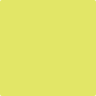 2025-40: Limelight  a paint color by Benjamin Moore avaiable at Clement's Paint in Austin, TX.