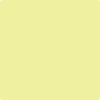 2025-50: Lemon Freeze  a paint color by Benjamin Moore avaiable at Clement's Paint in Austin, TX.