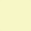 2025-60: Lemon Glow  a paint color by Benjamin Moore avaiable at Clement's Paint in Austin, TX.