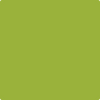 2027-10: Dark Lime  a paint color by Benjamin Moore avaiable at Clement's Paint in Austin, TX.