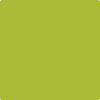 2027-20: Spring Moss  a paint color by Benjamin Moore avaiable at Clement's Paint in Austin, TX.