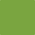 2028-10: Iguana Green  a paint color by Benjamin Moore avaiable at Clement's Paint in Austin, TX.