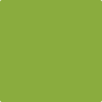 2028-20: Douglas Fir  a paint color by Benjamin Moore avaiable at Clement's Paint in Austin, TX.