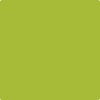 2028-30: Tequila Lime  a paint color by Benjamin Moore avaiable at Clement's Paint in Austin, TX.