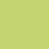 2028-40: Pear Green  a paint color by Benjamin Moore avaiable at Clement's Paint in Austin, TX.