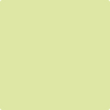 2028-50: Wales Green  a paint color by Benjamin Moore avaiable at Clement's Paint in Austin, TX.