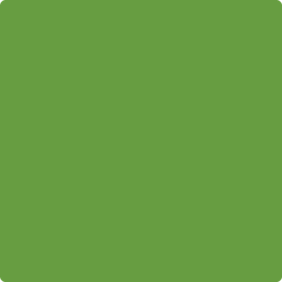 2029-20: Baby Fern  a paint color by Benjamin Moore avaiable at Clement's Paint in Austin, TX.