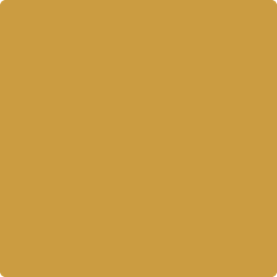 203-Fields: Of Gold  a paint color by Benjamin Moore avaiable at Clement's Paint in Austin, TX.