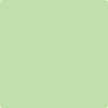 2030-50: Shimmering Lime  a paint color by Benjamin Moore avaiable at Clement's Paint in Austin, TX.