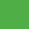 2031-10: Neon Lime  a paint color by Benjamin Moore avaiable at Clement's Paint in Austin, TX.
