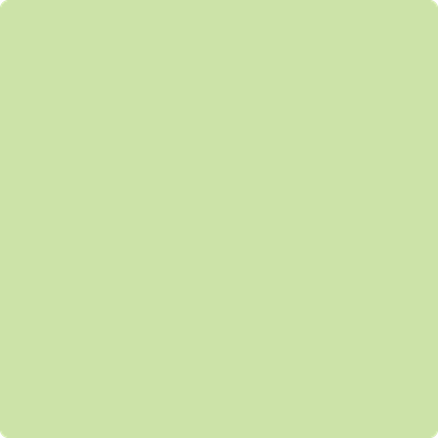 2031-50: Key Lime  a paint color by Benjamin Moore avaiable at Clement's Paint in Austin, TX.