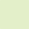 2031-60: Neon Celery  a paint color by Benjamin Moore avaiable at Clement's Paint in Austin, TX.
