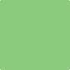 2032-40: Citrus Green  a paint color by Benjamin Moore avaiable at Clement's Paint in Austin, TX.