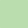 2032-50: Early Spring Green  a paint color by Benjamin Moore avaiable at Clement's Paint in Austin, TX.